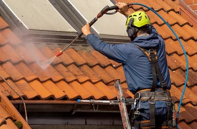 Démoussage et hydrofuge de toiture au Châtenet-en-Dognon